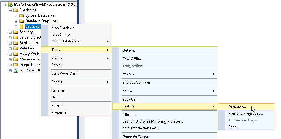 Restore database menu